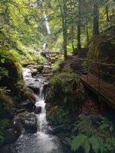 17 - Eifersbachfall