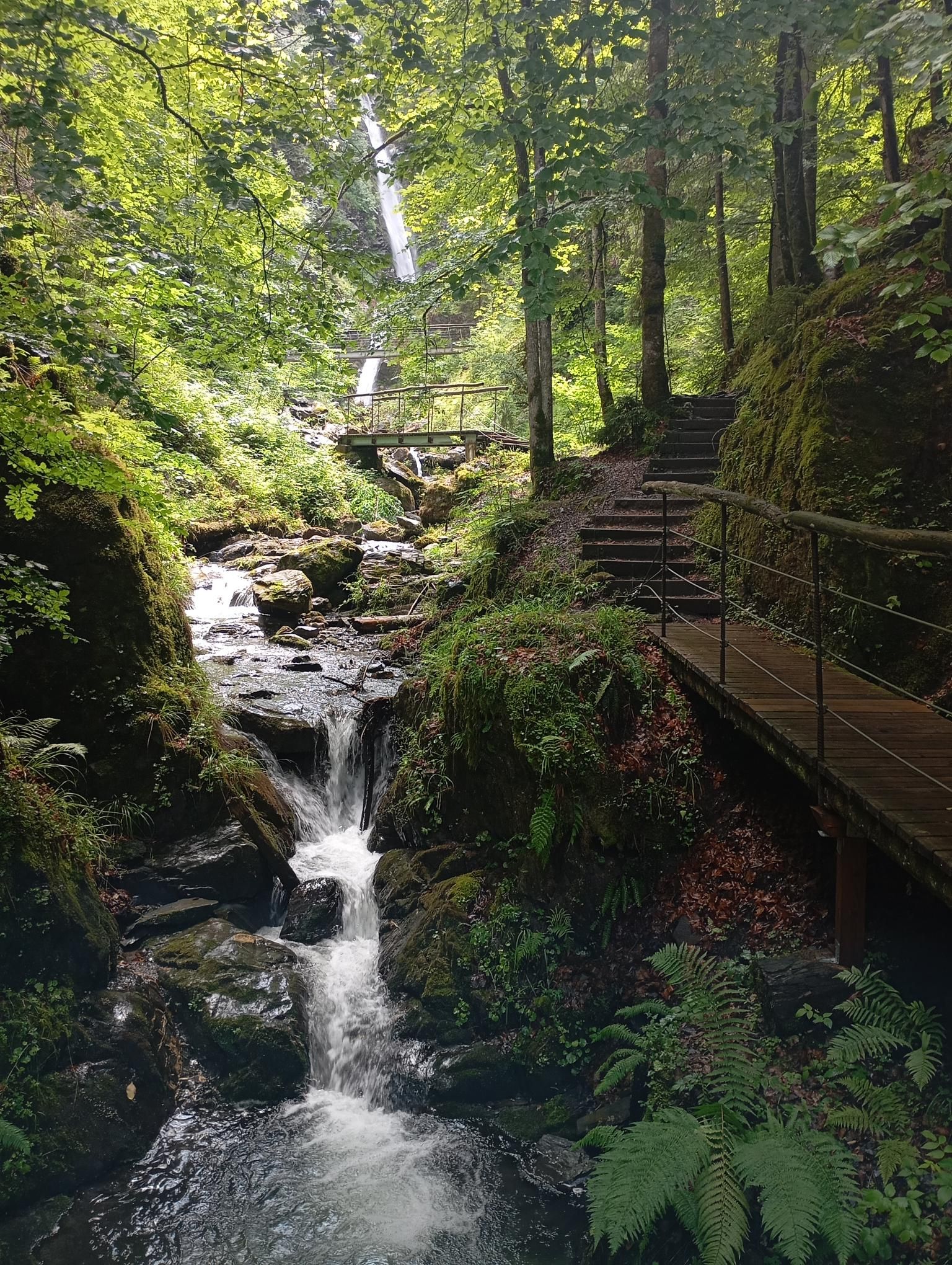 17 - Eifersbachfall